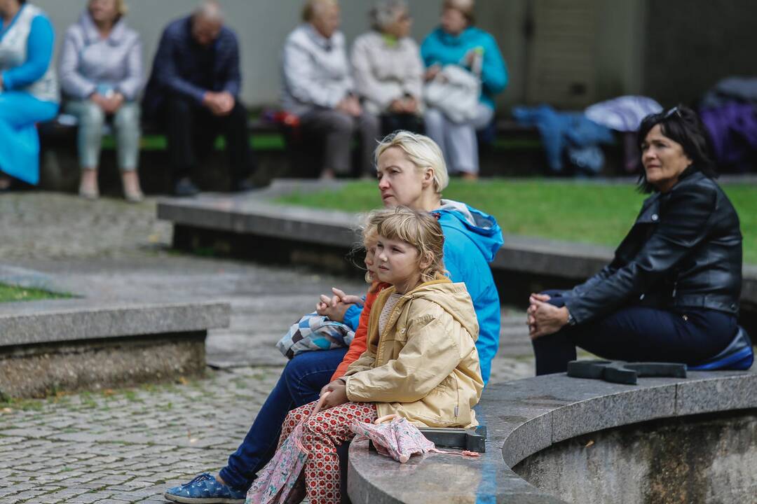 Baltų vienybės diena