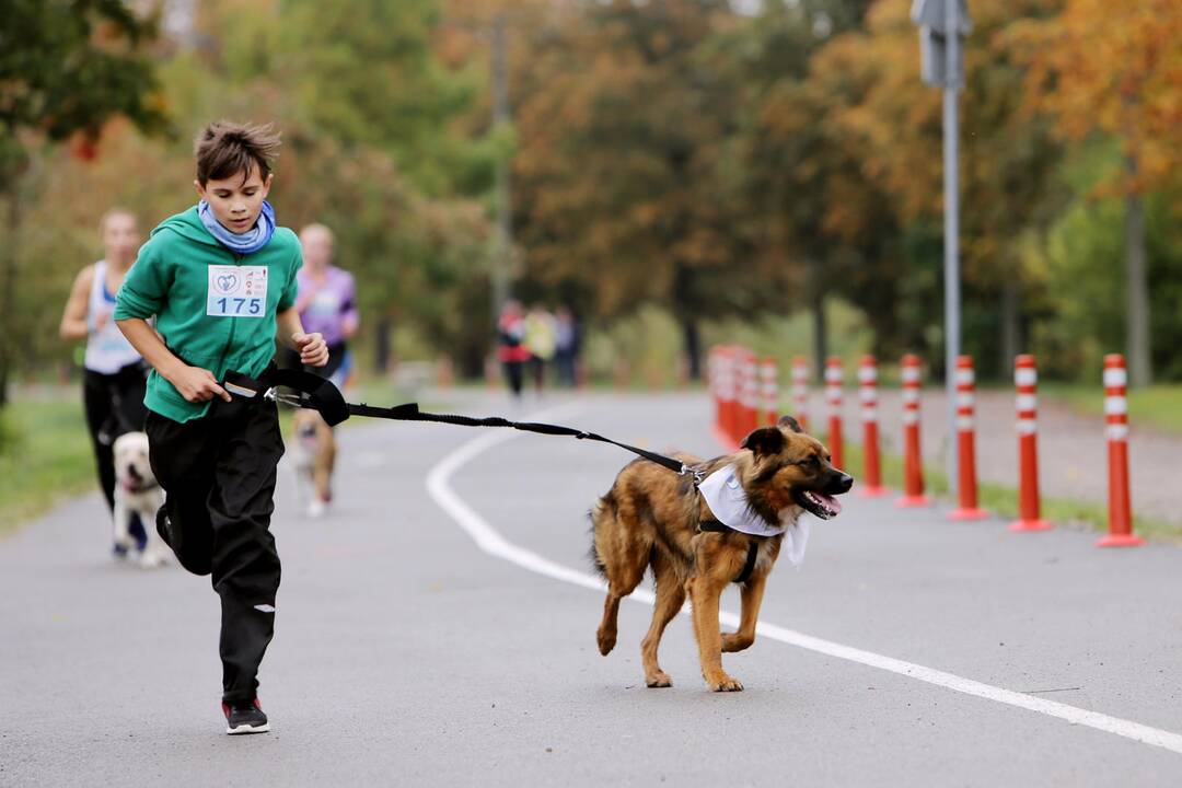 Bėgimas su savo augintiniais