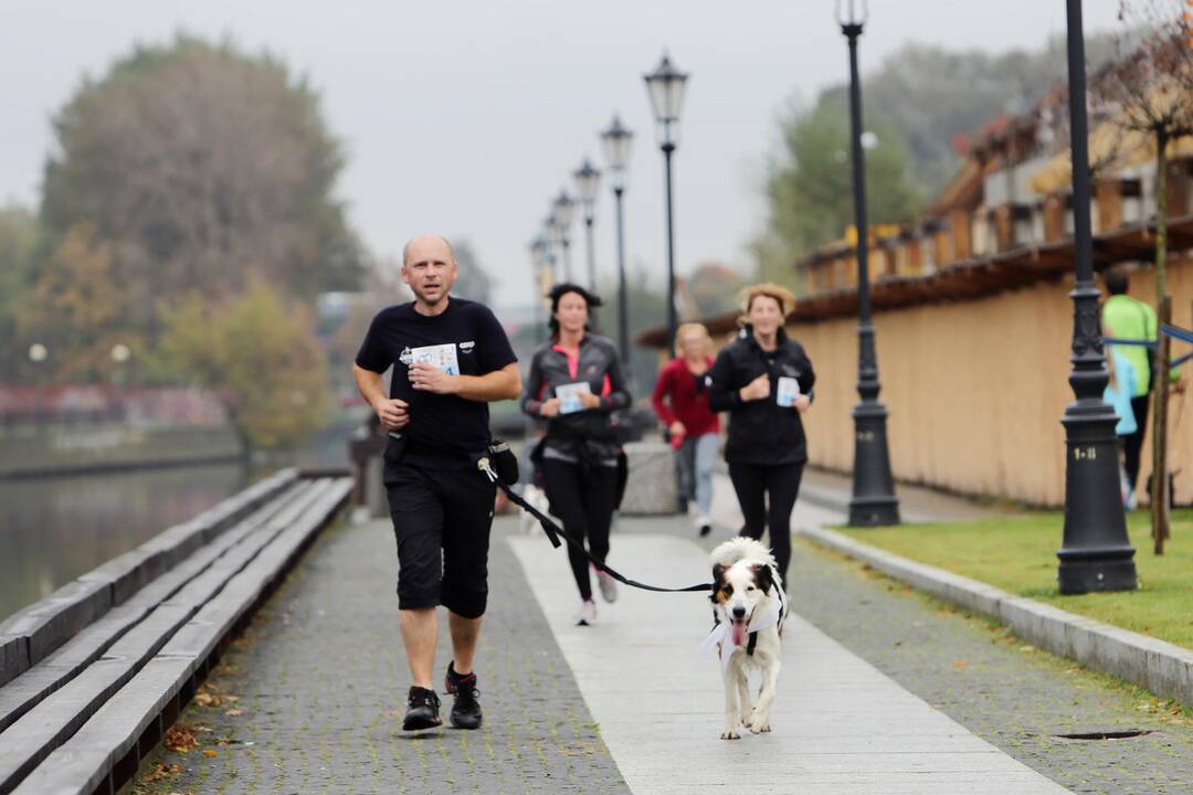 Bėgimas su savo augintiniais