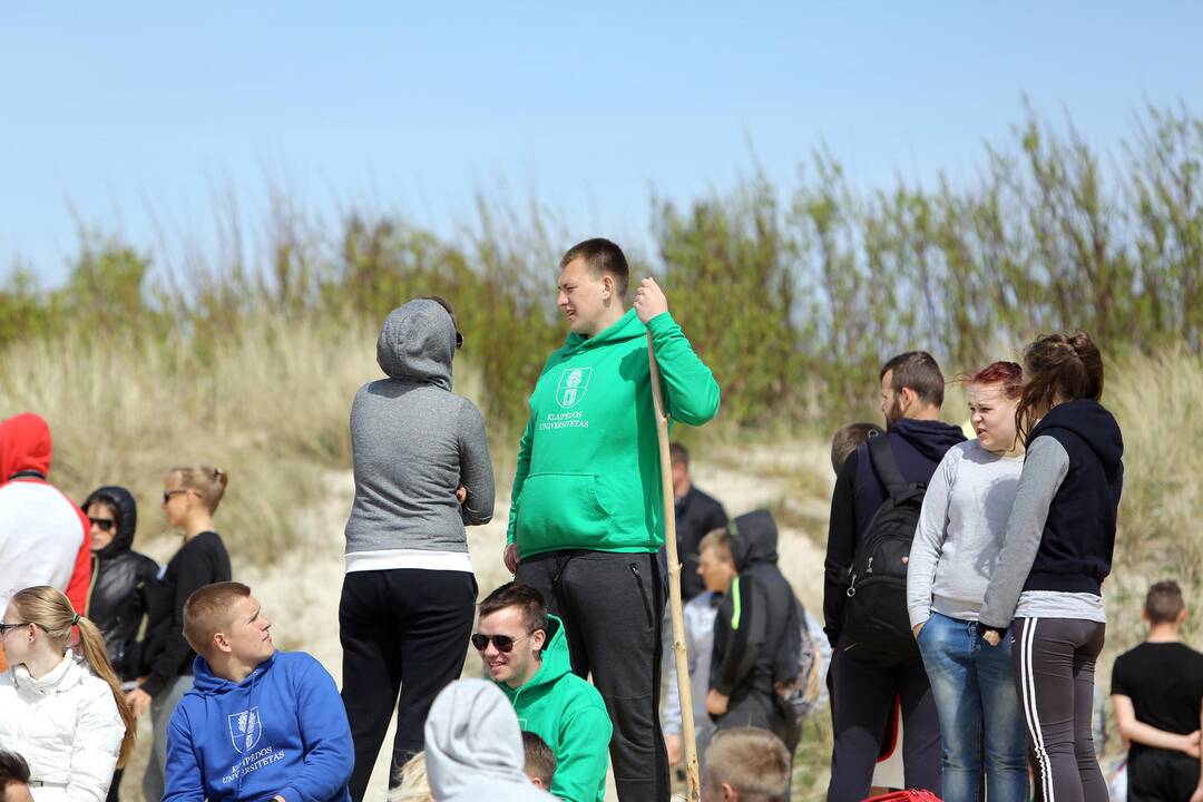 Studentų sveikatingumo diena