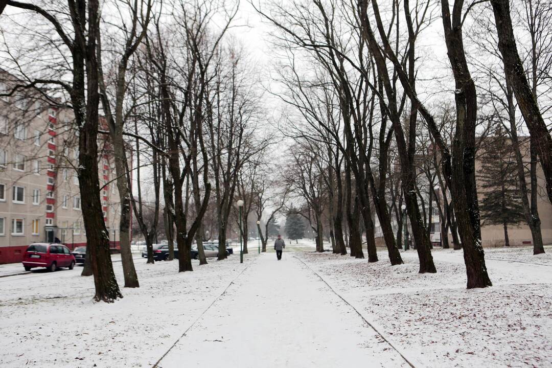 Pėsčiųjų takas