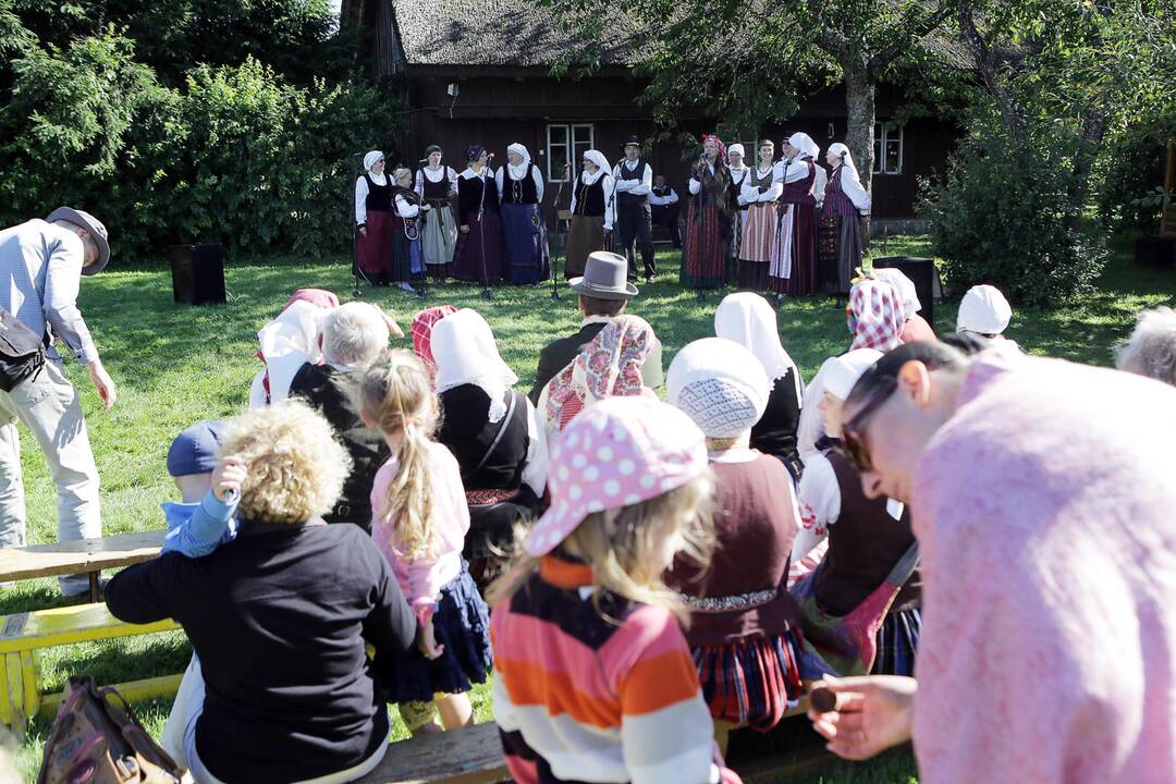 Folkloro festivalis