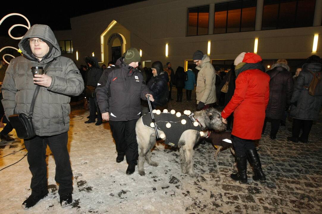 Šviečiančių augintinių paradas