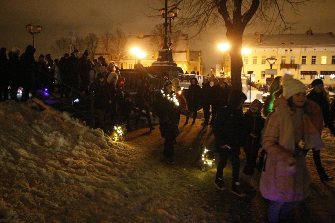 Šviečiančių augintinių paradas