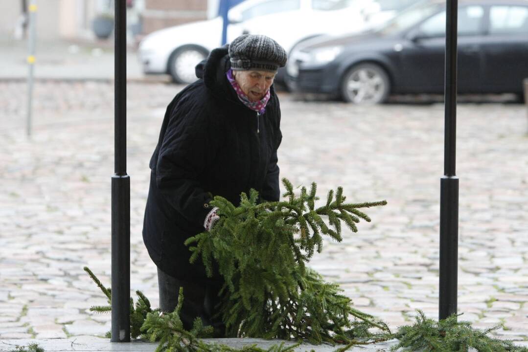 Eglės šakų dalinimas Klaipėdoje