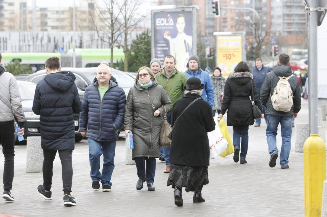 JAMAM 2017 Klaipėda