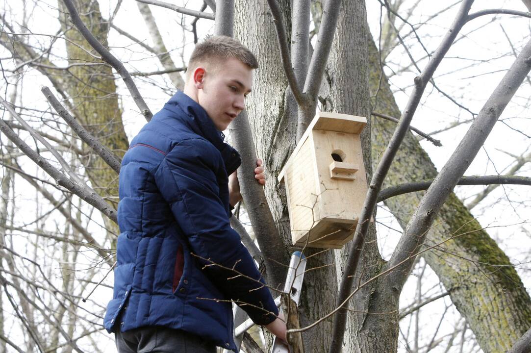 Klaipėdiečiai grąžina skolą gamtai