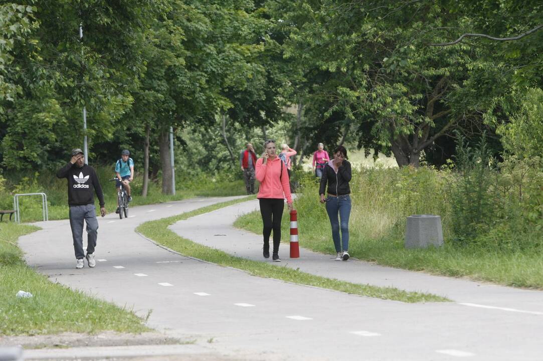Dingęs jaunas klaipėdietis – rastas