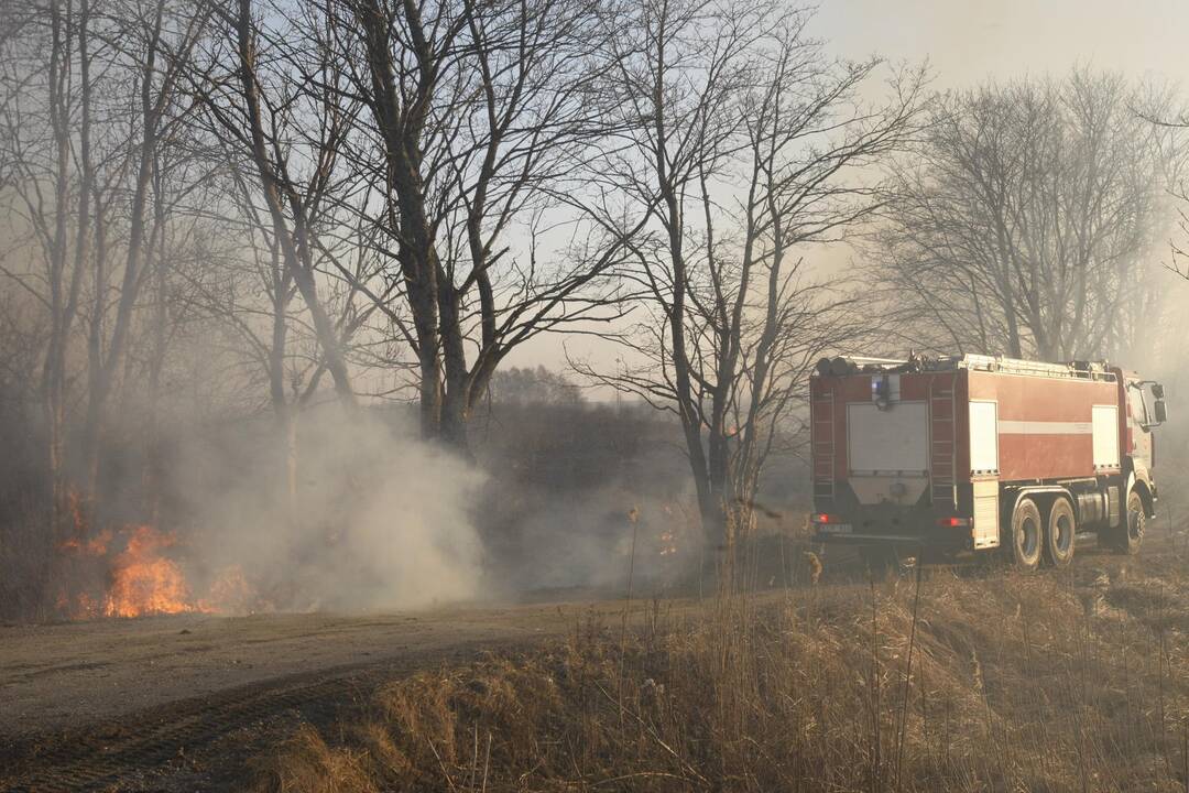 Klaipėdoje degė žolė