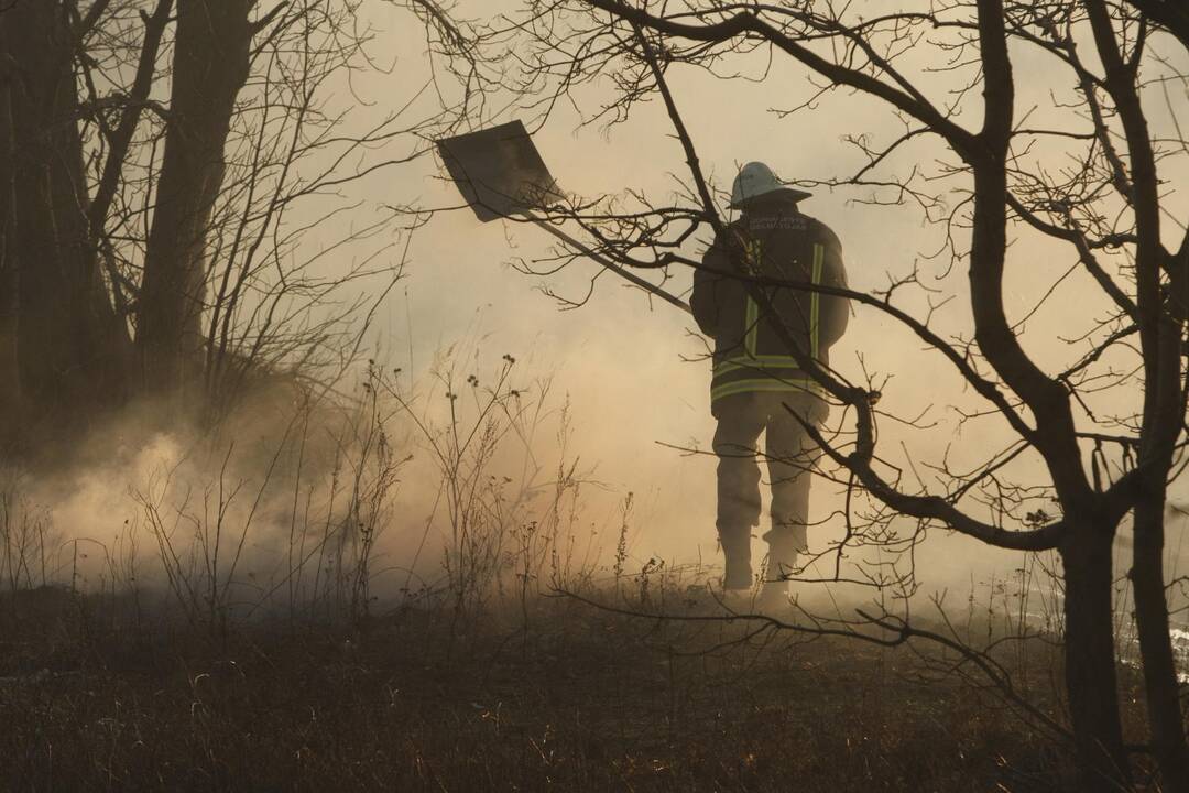 Klaipėdoje degė žolė