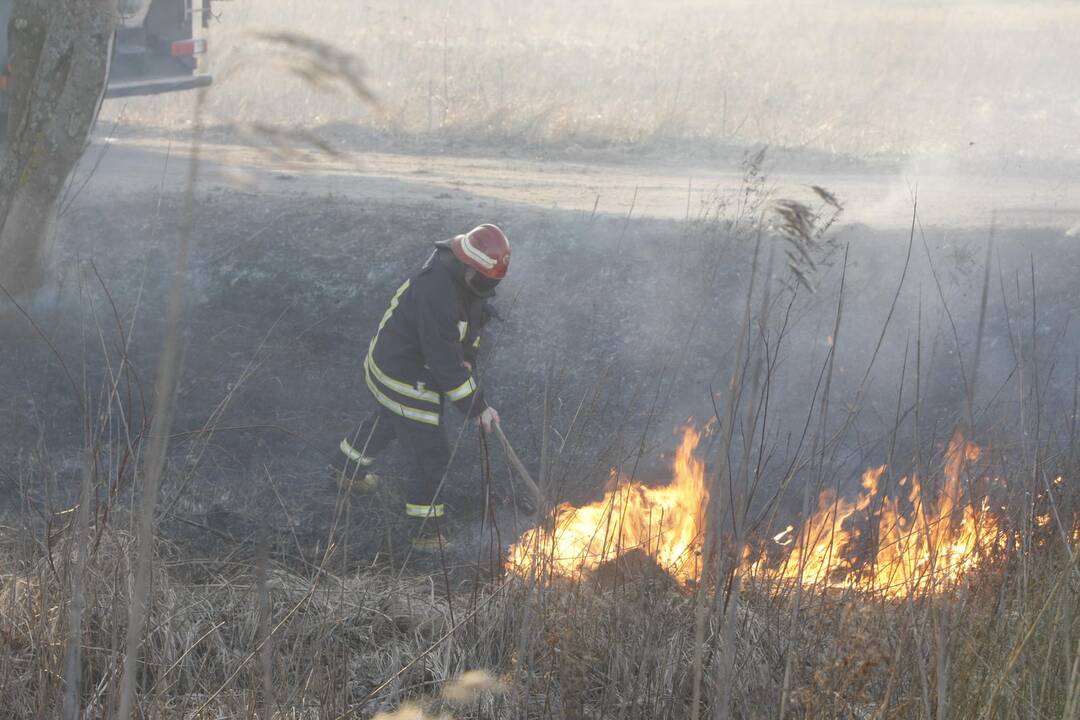 Klaipėdoje degė žolė