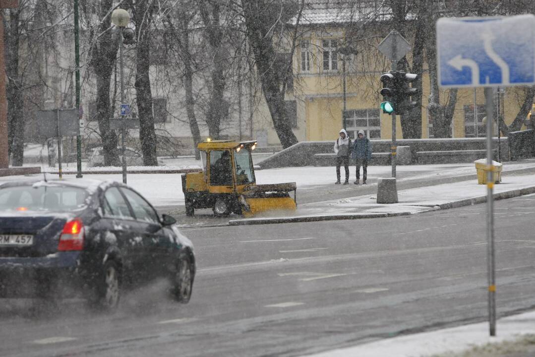 Pirmasis sniegas Klaipėdoje