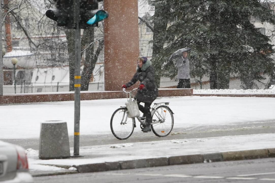 Pirmasis sniegas Klaipėdoje