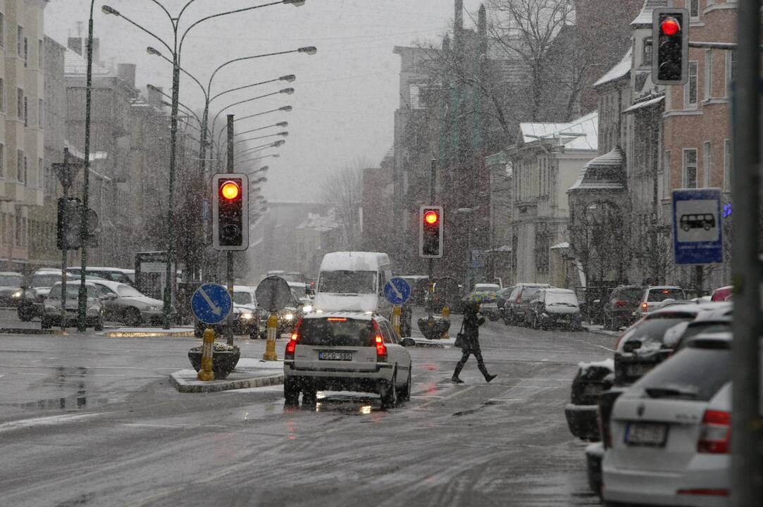 Pirmasis sniegas Klaipėdoje