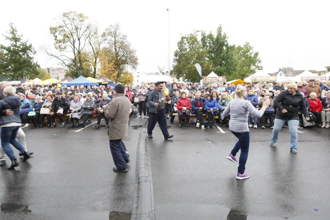 Rudens derliaus ir moliūgo šventė Kretingoje