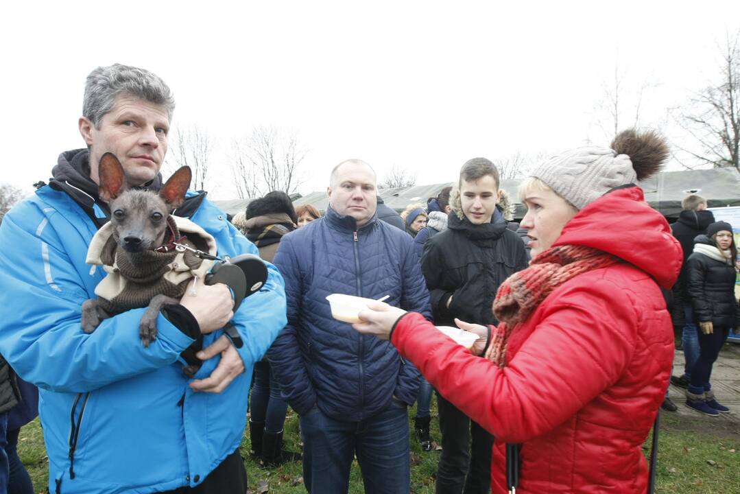 Keturkojų Kalėdos Klaipėdoje