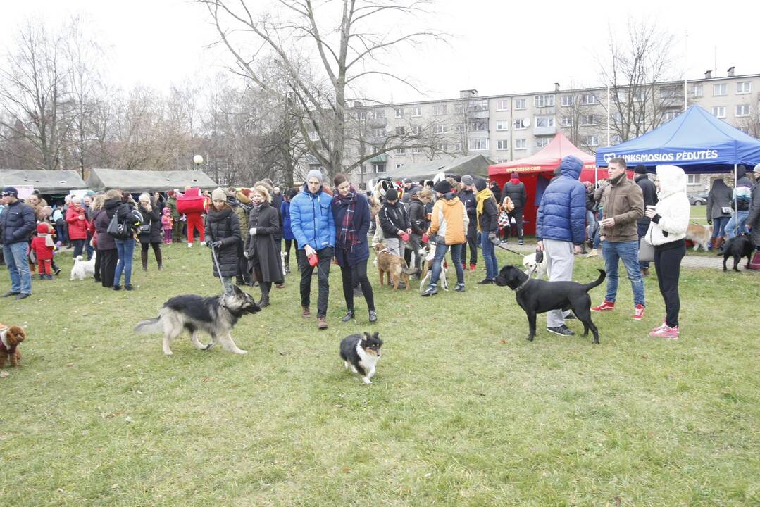 Keturkojų Kalėdos Klaipėdoje