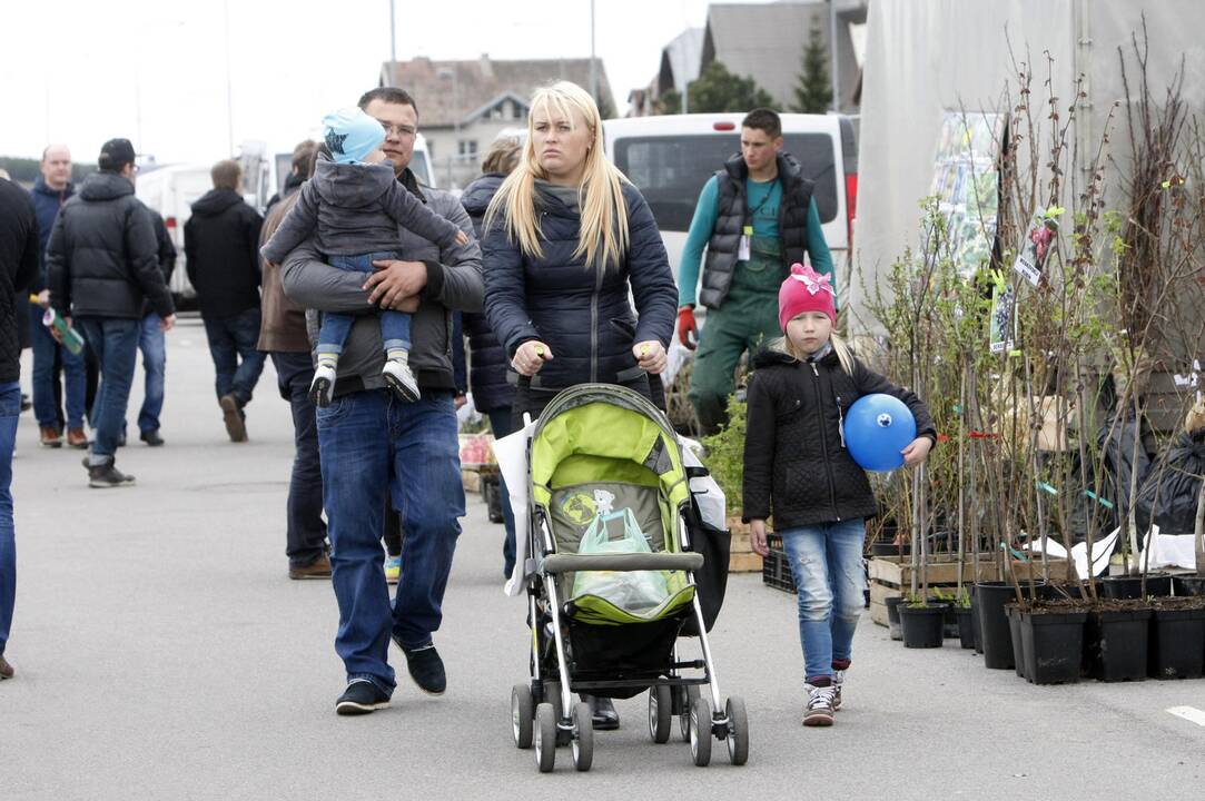 Klaipėdiečiai domėjosi aplinkos tvarkymo naujovėmis