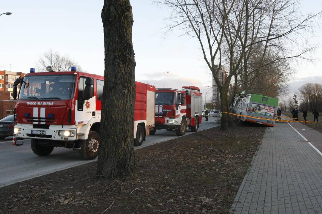 Kraupi avarija Klaipėdoje: autobusas rėžėsi į medį, sužeisti keleiviai 