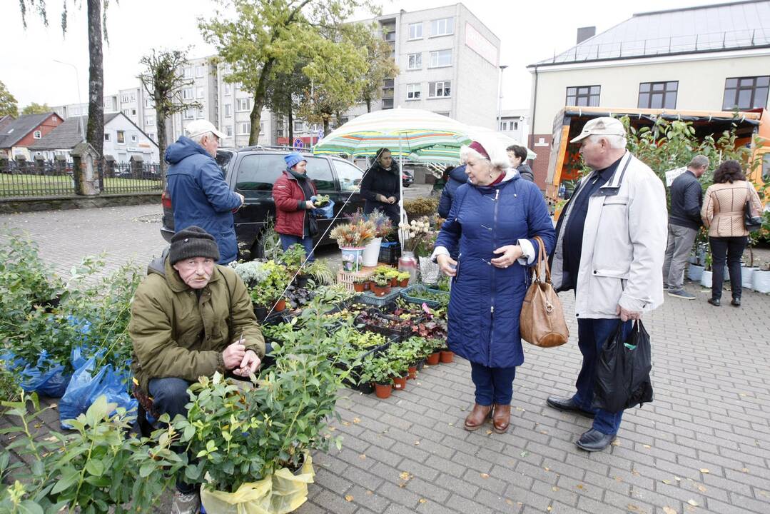 Rudens derliaus ir moliūgo šventė Kretingoje