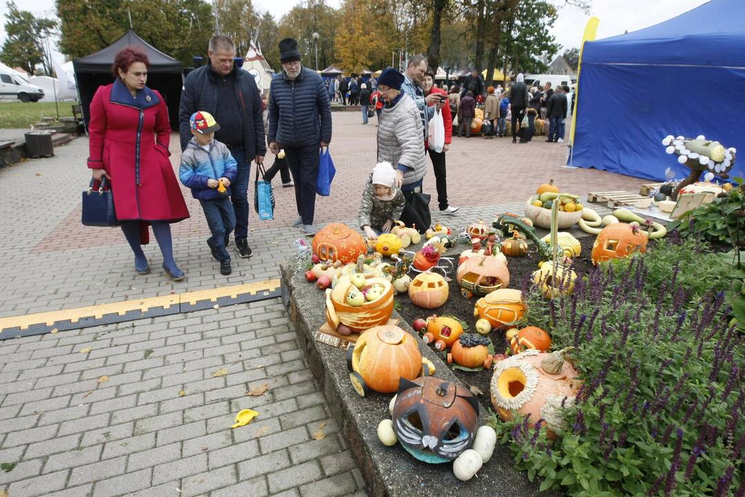 Rudens derliaus ir moliūgo šventė Kretingoje