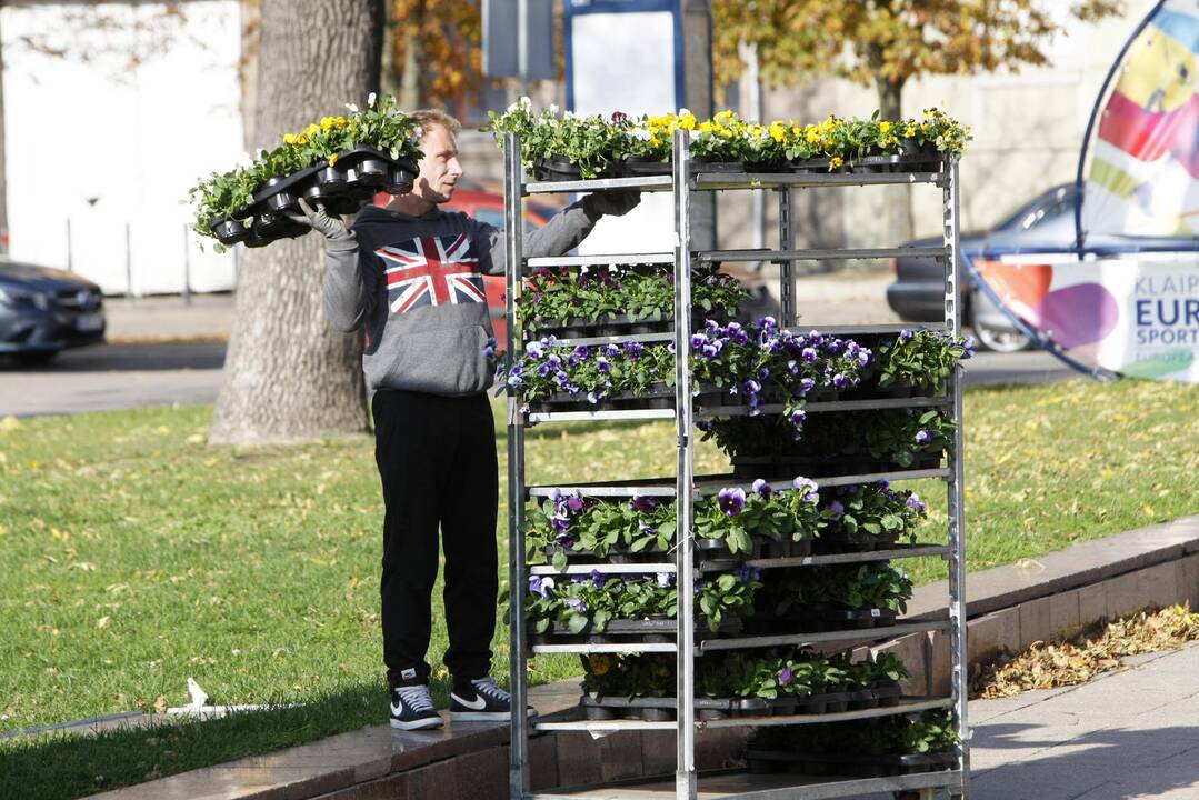 Uostamiesčiui – tūkstančiai rudeninių žiedų
