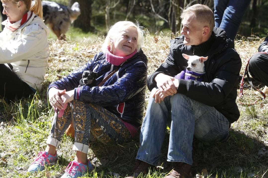 Šunų ir jų augintojų bėgimas Klaipėdoje 