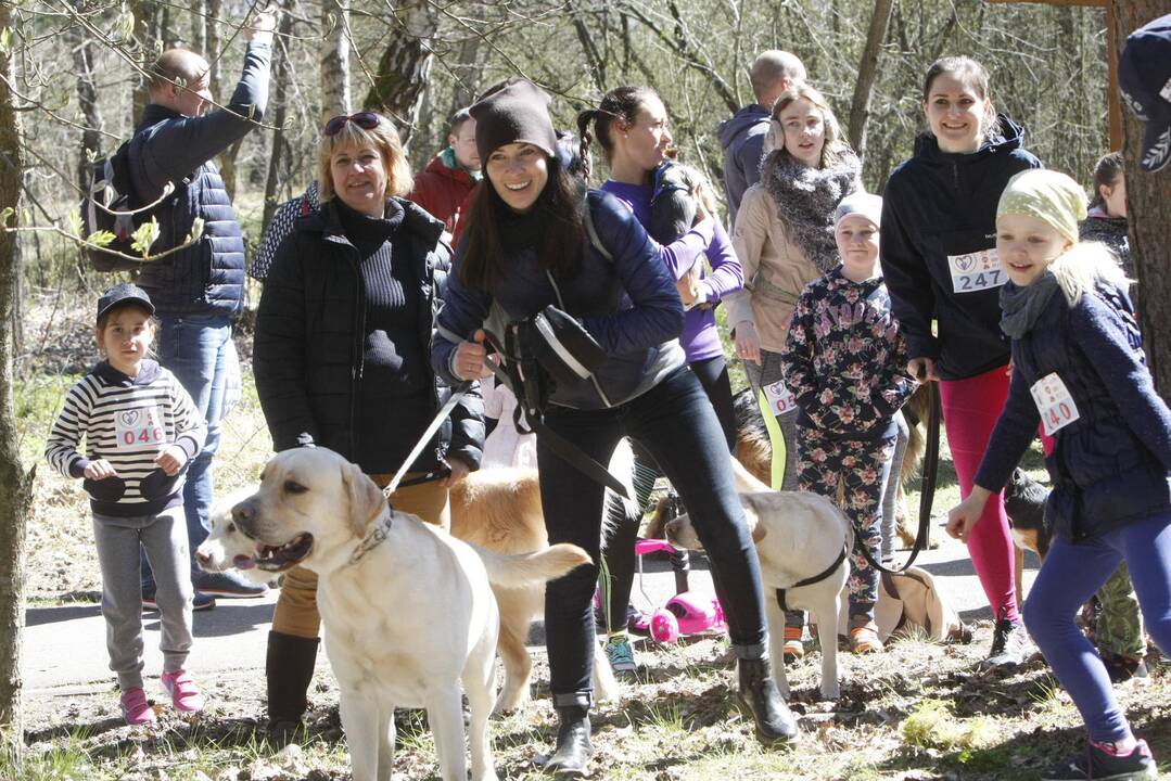 Šunų ir jų augintojų bėgimas Klaipėdoje 