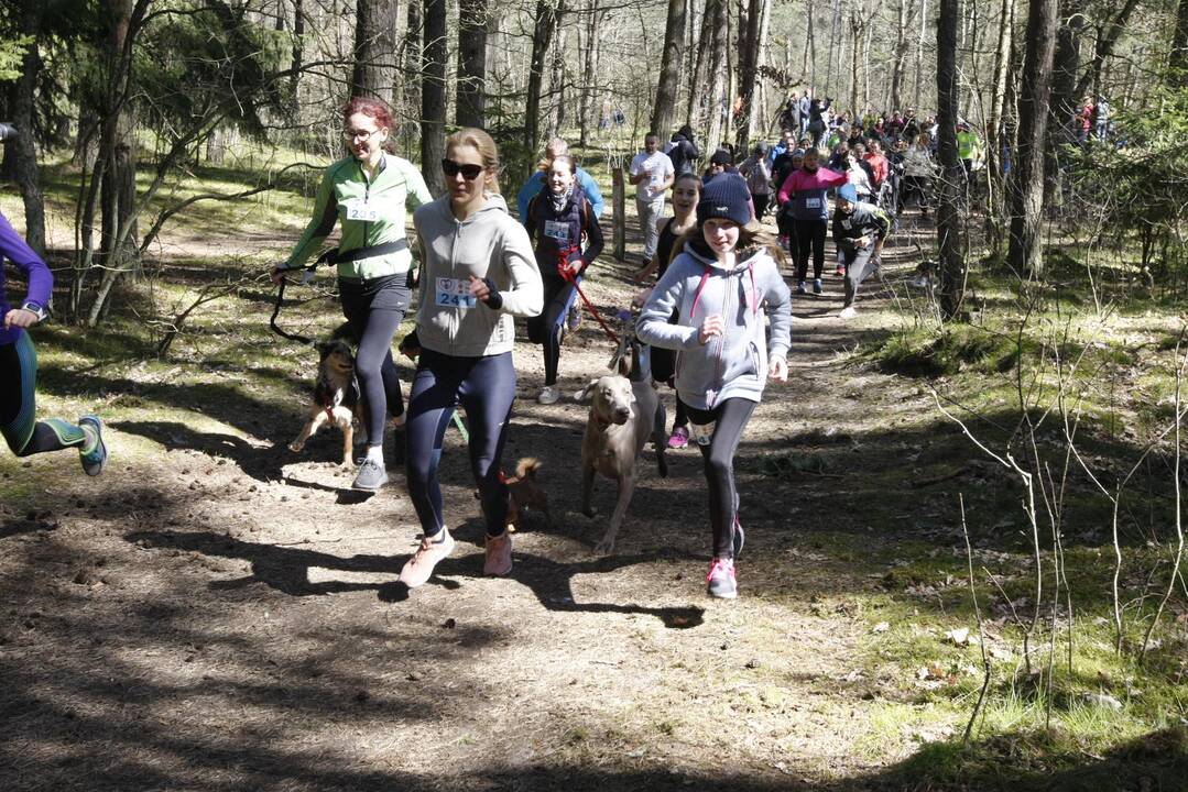 Šunų ir jų augintojų bėgimas Klaipėdoje 