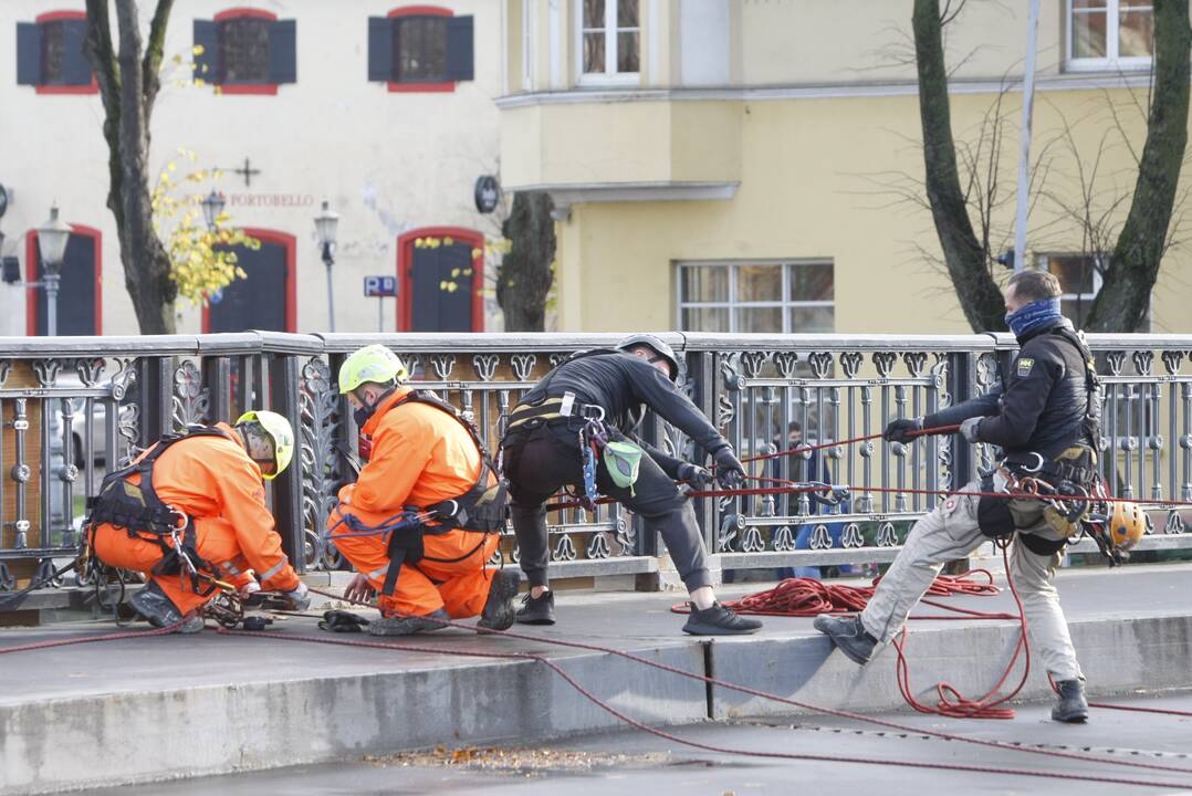 Meridianas sugrįžo