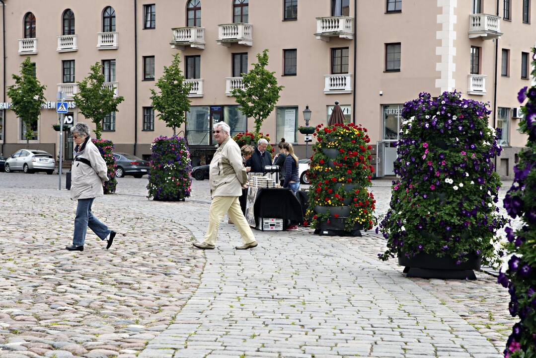 Klaipėda puošiasi vasariniais žiedais