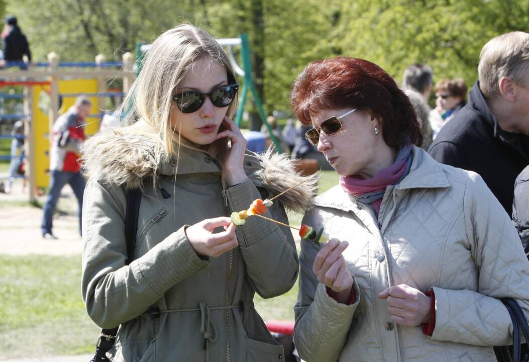 Dalysis maistu ir džiaugsmu