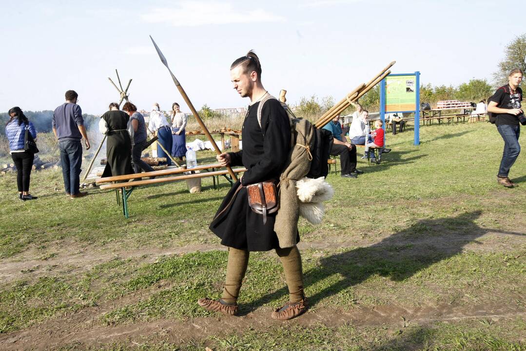 Žardės piliakalnis