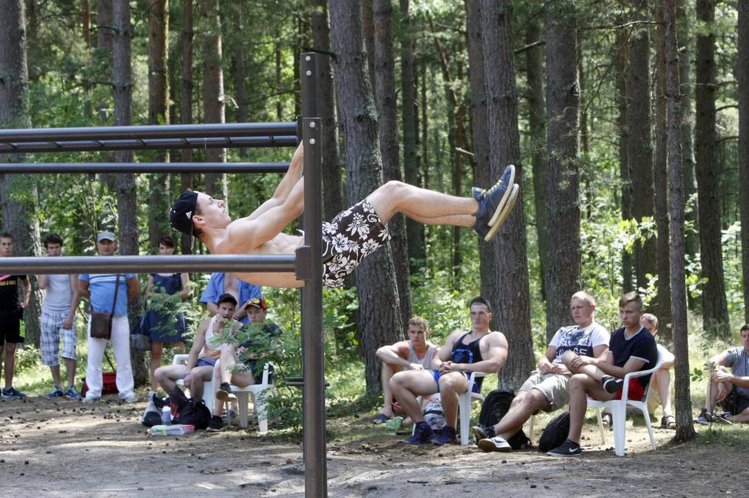 Gatvės gimnastikos varžybos