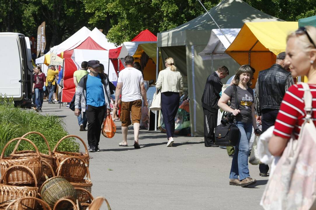 Kretingoje šurmuliuoja Kretingos miesto šventė, vyksta Šv.Antano atlaidai