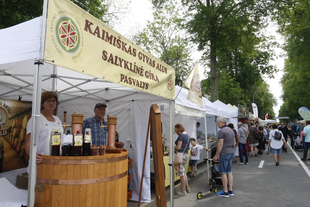 Palangos vasaros sezono atidarymas 2018