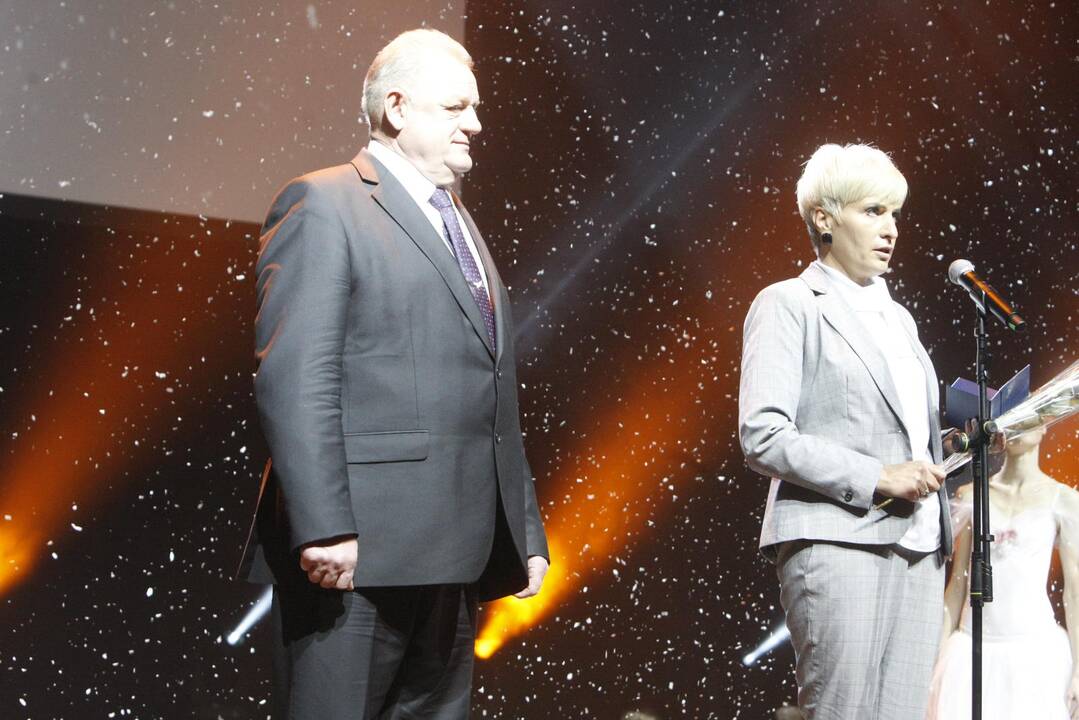 Įteiktos „Gintarinės snaigės“ 
