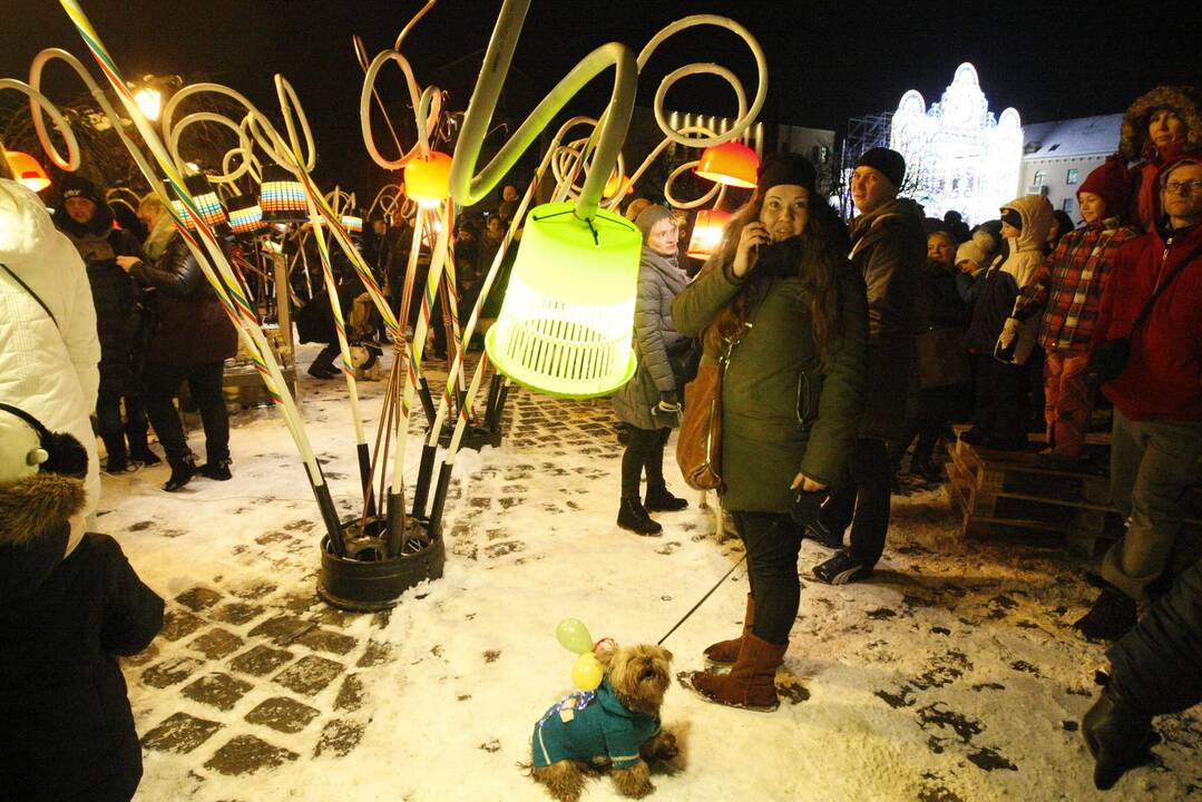 Šviečiančių augintinių paradas