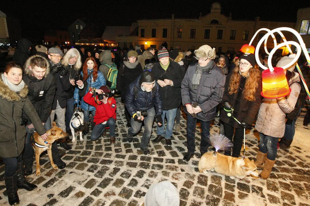Šviečiančių augintinių paradas