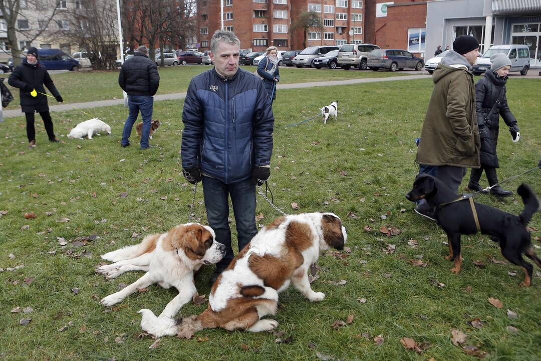 Keturkojų Kalėdos 2017