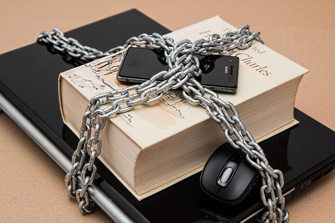 Galimai nutekėjo plagiato tikrinimo sistema pasinaudojusių studentų duomenys