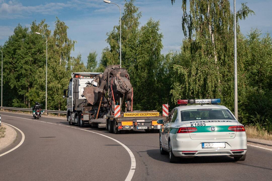 Vyčio kelionė Kauno gatvėmis