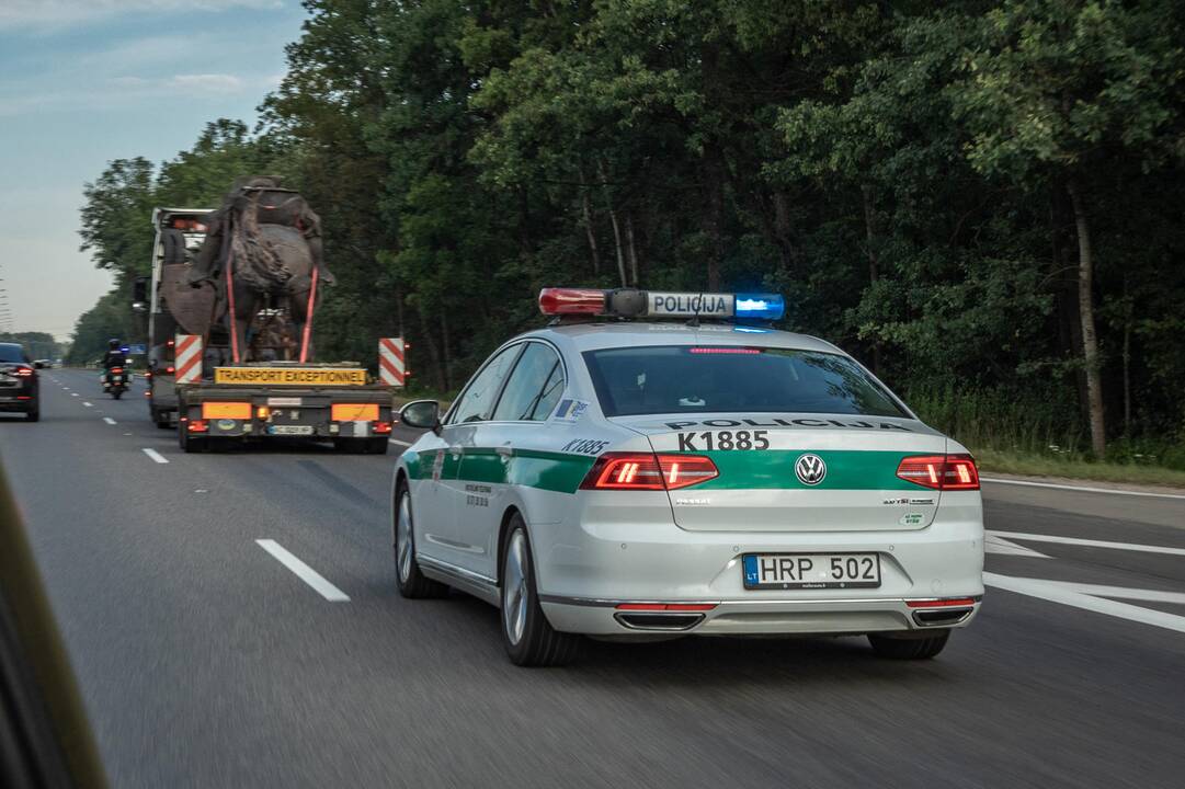 Vyčio kelionė Kauno gatvėmis
