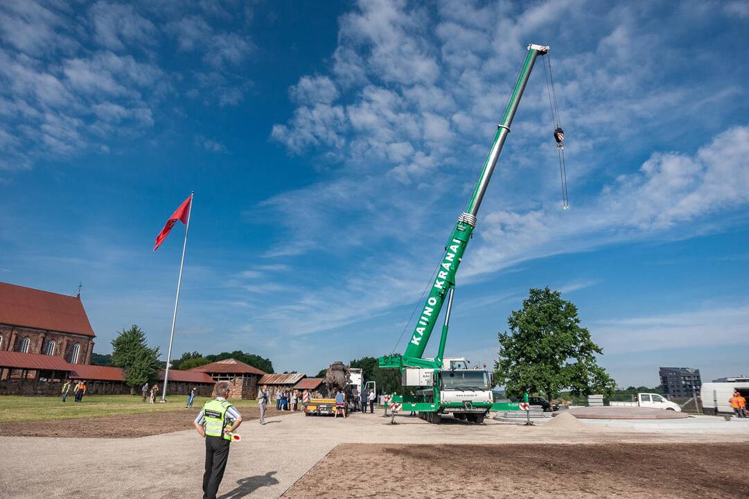 „Laisvės karys“ prie Kauno pilies