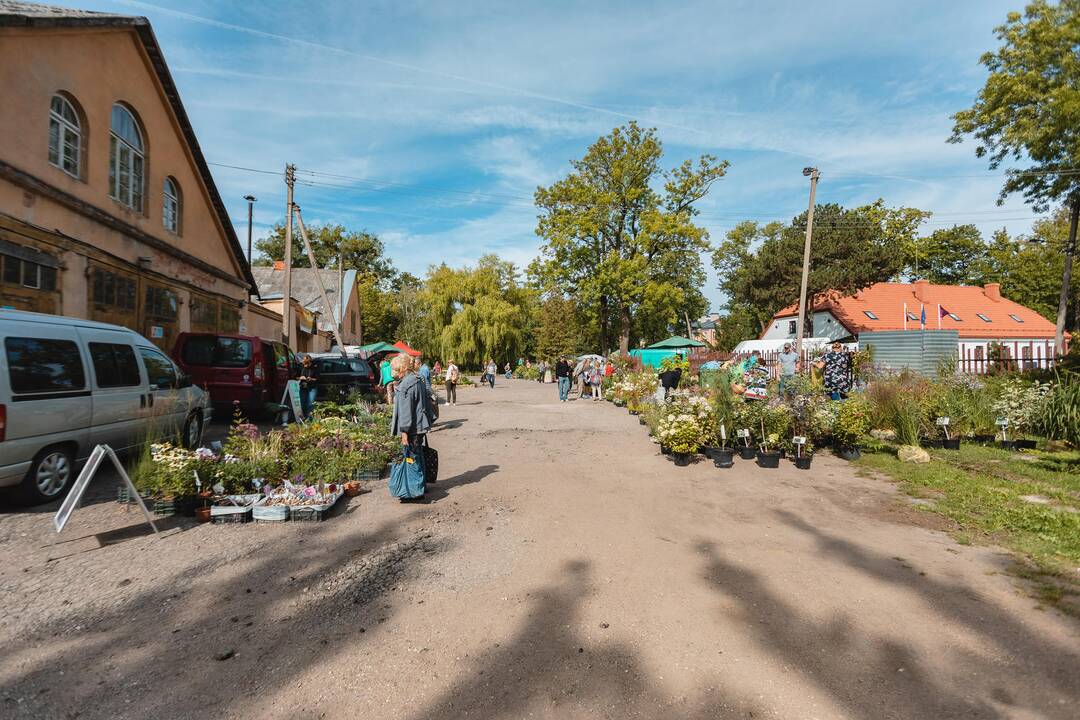 „Pakalnutės uoga“