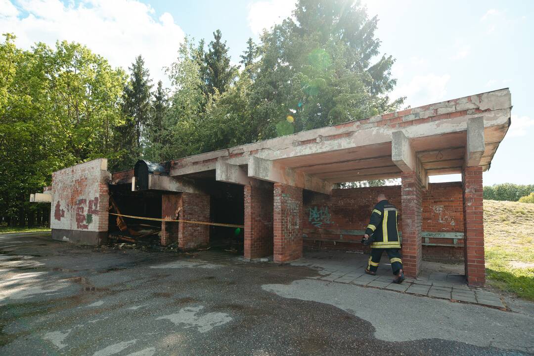 Gaisras prie Draugystės parko