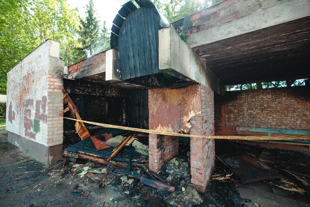 Gaisras prie Draugystės parko