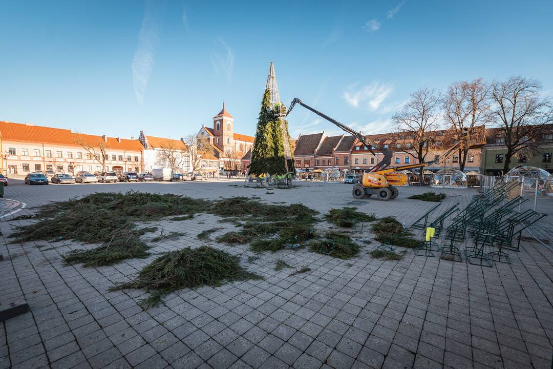 Pagrindinė Kauno Kalėdų eglė įgauna kontūrus