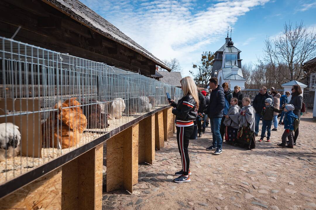 Į Rumšiškes sugrįžo Velykų linksmybės