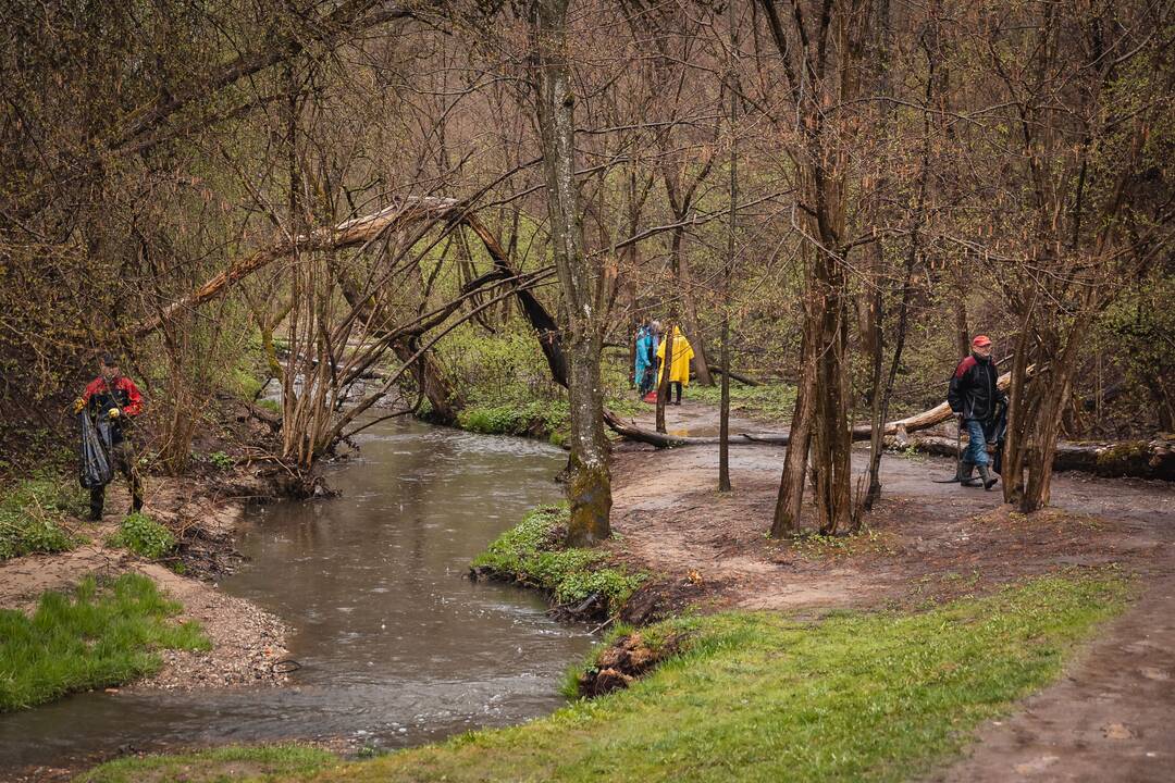Lietus išbaidė akcijos "Darom" dalyvius